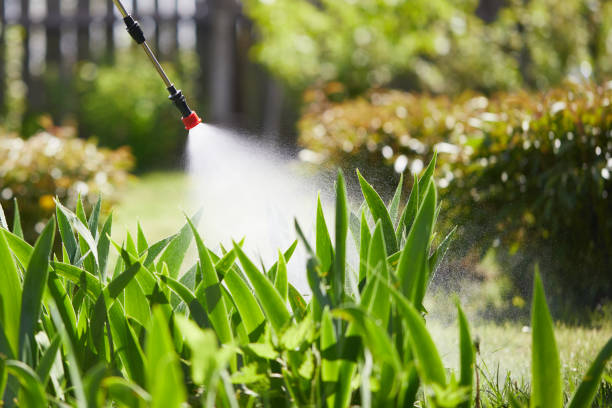 24/7 Emergency Cockroach Control experts in North Myrtle Beach, SC