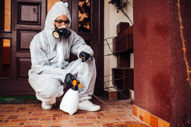 Reliable Cockroach Control contractor in North Myrtle Beach, SC by Nex Pest Control